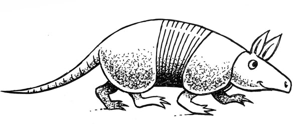 Armadillo Candy Company